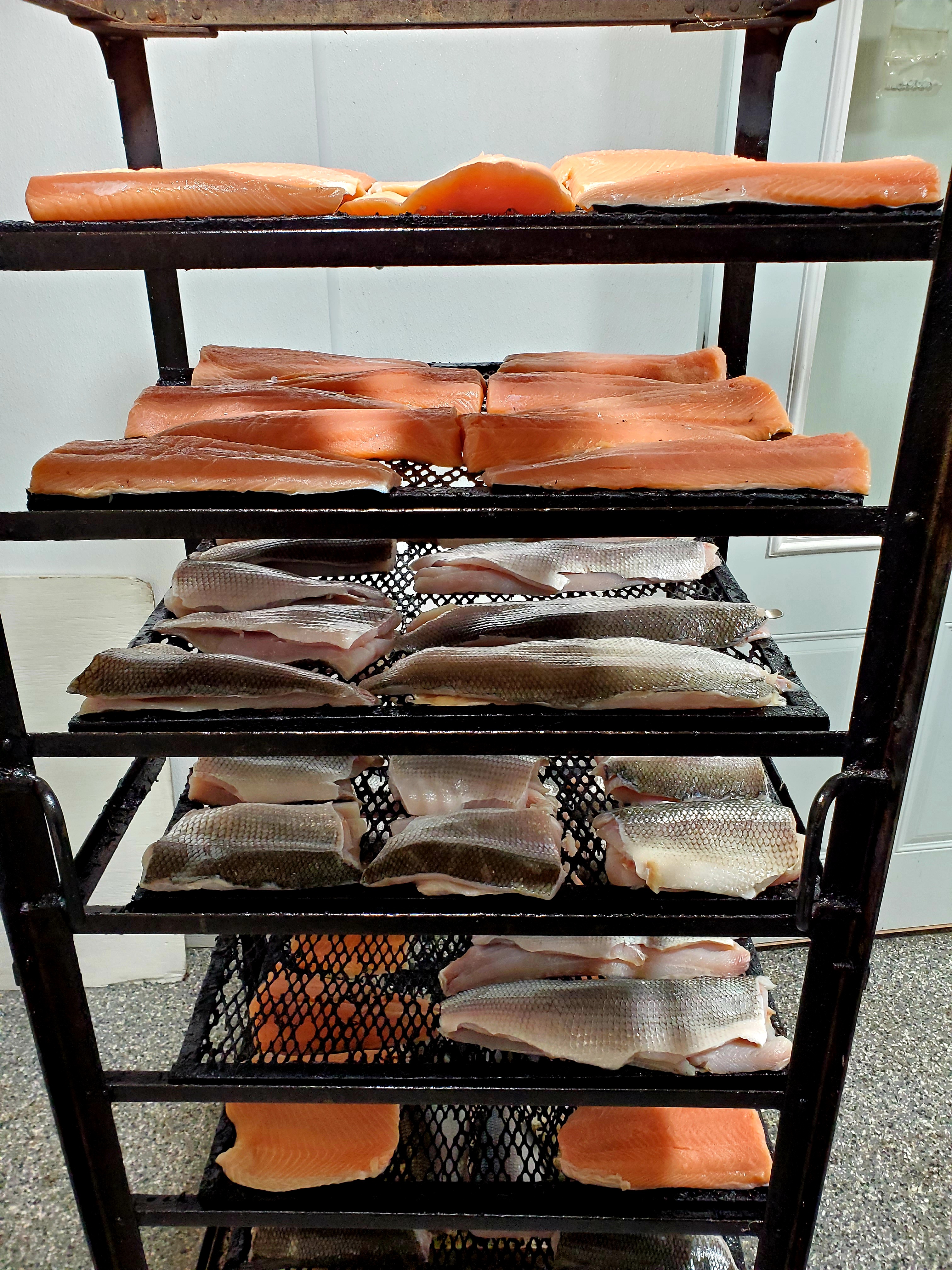 Fresh Fish on Rack