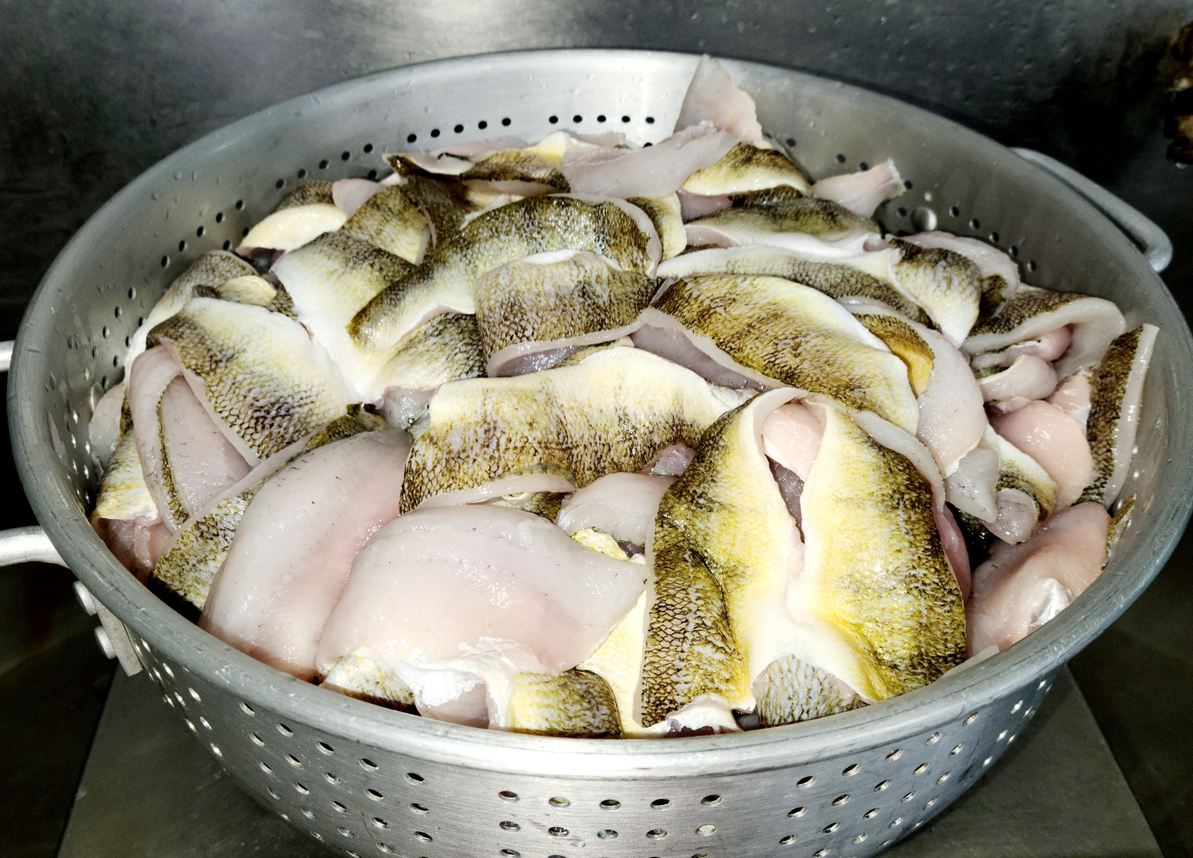 Fresh Yellow Perch