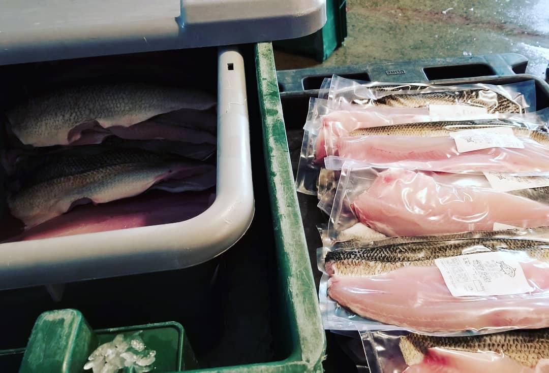 Packaging frozen whitefish